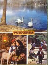 ESPAGNE PUIGCERDA MULTIVUES CARTE POSTALE CP 