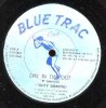 MIGHTY DIAMONDS - Day In Day Out - Blue Trac 12