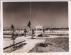 1945 ORIG Photo Historic American Flag Okinawa Cemetery 