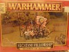 Warhammer Dogs of  War  ALCATANI FELLOWSHIP OOP  