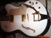 white falcon custom 