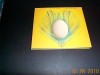 XTC - Easter Theatre - CD Single 