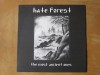 Hate forest 
