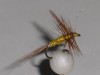 SUPEROFERTA:12 EFÉMERAS AMARILLAS PARA PESCA A MOSCA 