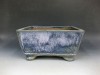 Bonsai pot 