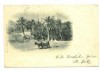 ak gran canaria -las palmas -1899