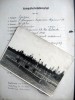 Killed in action document & Photo - Supreme Command 