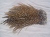 METZ FULL GOLDEN CREE/GRIZZLY HACKEL FEATHERS 
