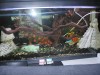 Acuario 110 litros 