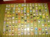 POKEMON: 135 cartas todas DIFERENTES 