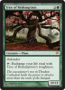 MTG MAGIC INNISTRAD Tree of Redemption X4 4X 4 LINDEN 