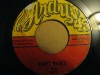 I ROY - QUIET PLACE / PARAGONS - NOISEY PLACE.ANDY'S 45 RECORDS. 