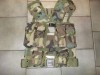 EAGLE INDUSTRIES SF WOODLAND ASSAULT VEST 