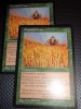 MTG Elephant Grass x 2 (Visions) Pasto de elefantes 