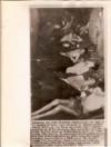 1945 Original Photo WW ll Emaciated American POW Freed BATTLE BULGE 