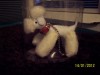 Randall Craig RTW White Poodle Great for Fashion Royalty Barbie Fashion Dolls 