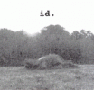 Id. 