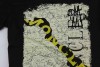 NEW Men's Special Printed with logo V-neck T-shirt Black Size XL 8070 | eBay</title><meta name=