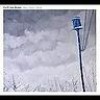  1 CENT CD: Cuff The Duke 'Way Down Here' roots rock 776974286008 