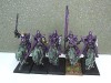  Warhammer Fantasy Battle Dark Elves Cold One Knights Regiment Gfabw 