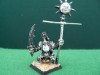  Warhammer Orc Standard Bearer Games Workshop OPP Painted Metal 