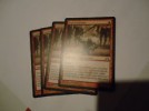  Legion Loyalist x4 Mint Gatecrash 4X MTG 