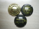 xapes de cava DITERENTES