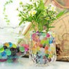  Hot 2 Bags Magic Crystal Mud Soil Water for Table Beads Flower Flower Plant KX 